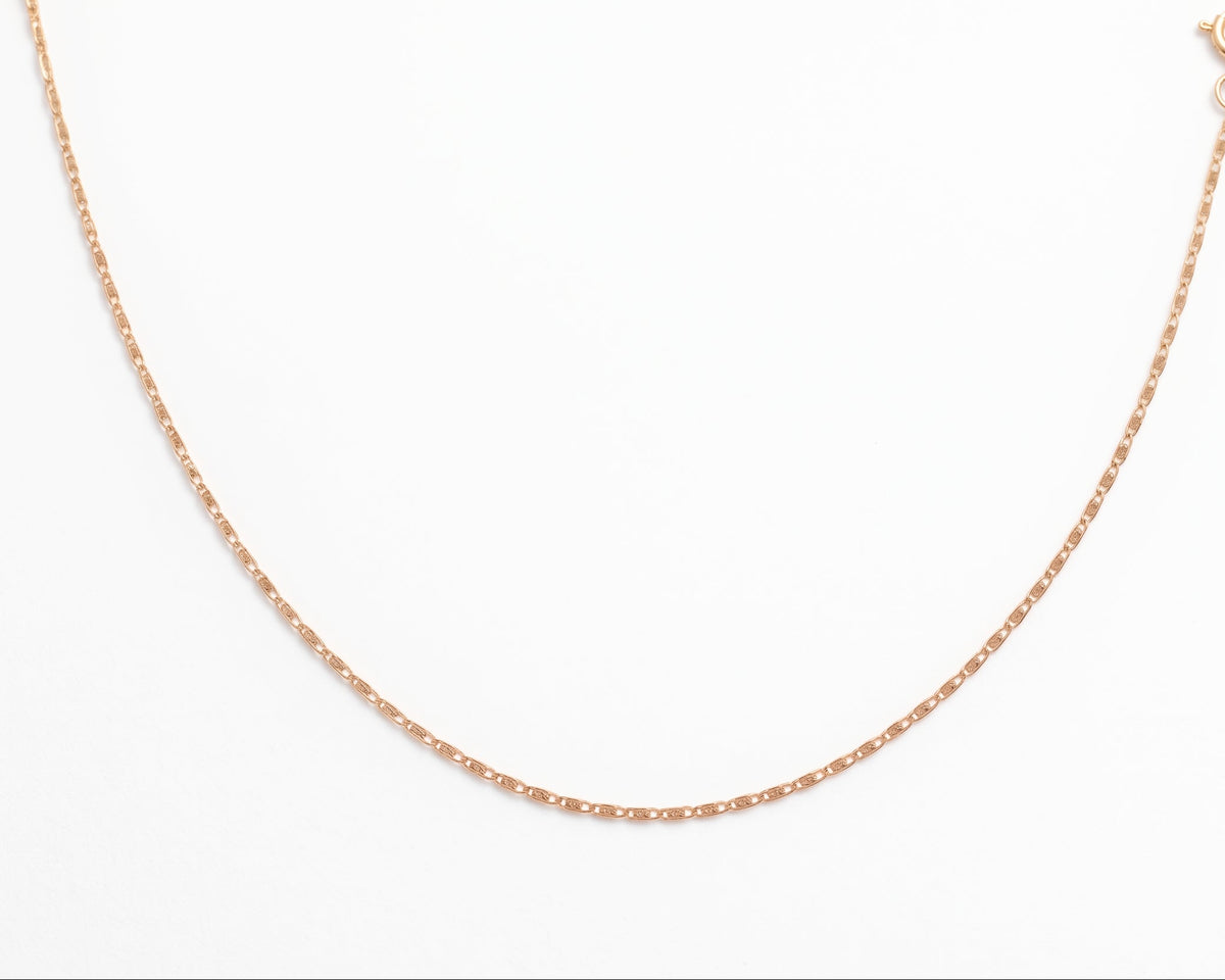 A delicate Gold Vermeil Snail Chain Necklace on a clean white background. 